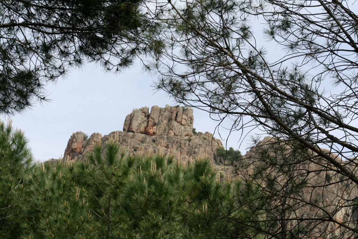 EXCURSION El Castillo de los Buitres (Valdemaqueda): Sabado, 2 de Junio 2012 