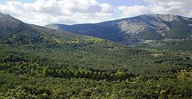 Excursión al monte Abantos. Domingo 9 de octubre.